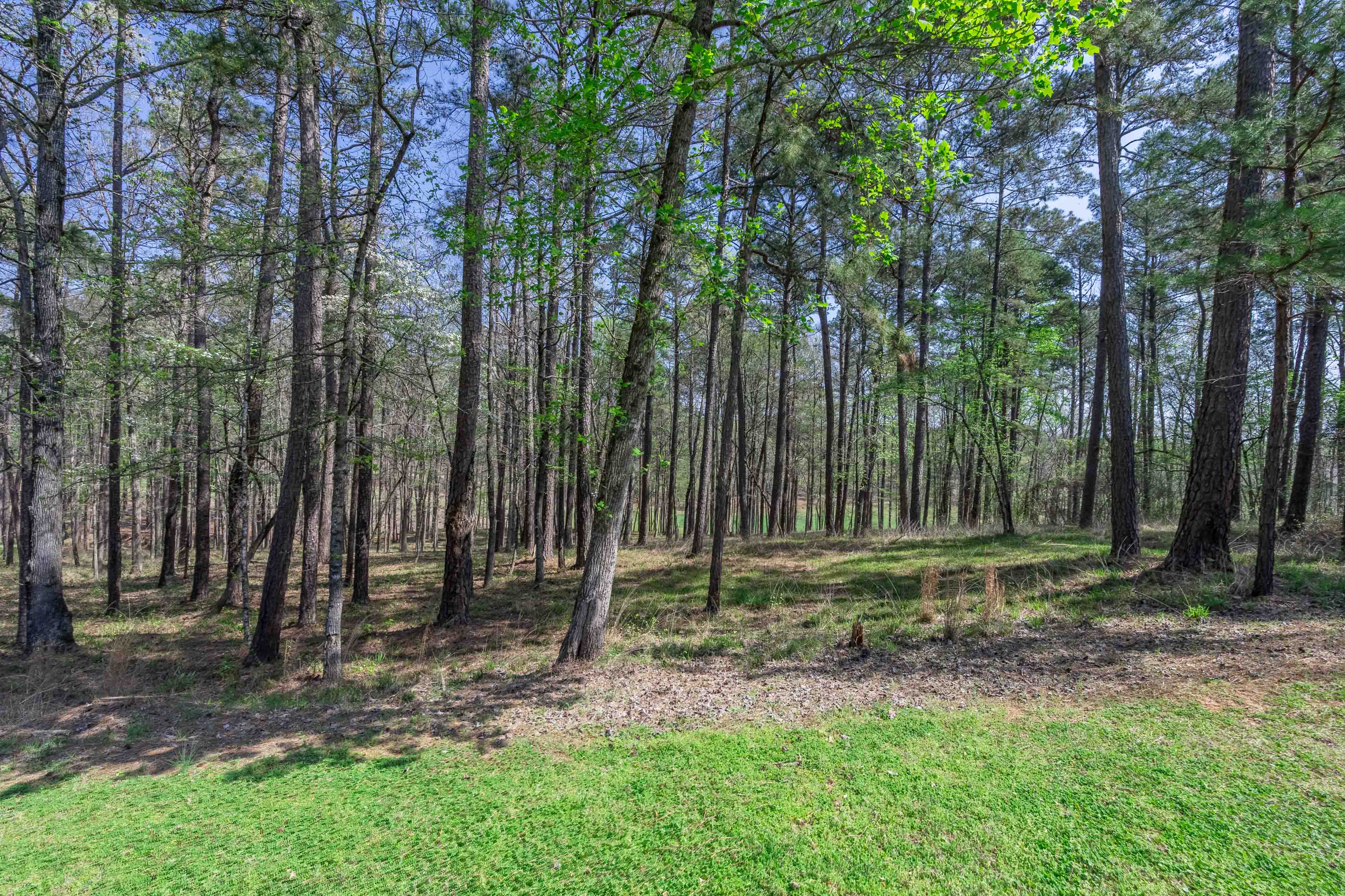 1190 Callahan's Ridge Road image 5